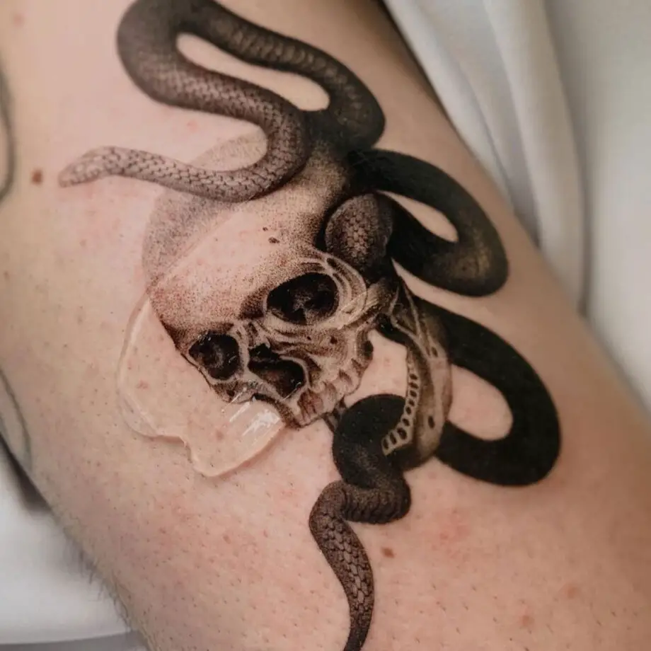Snake and Skull Tattoo Meaning