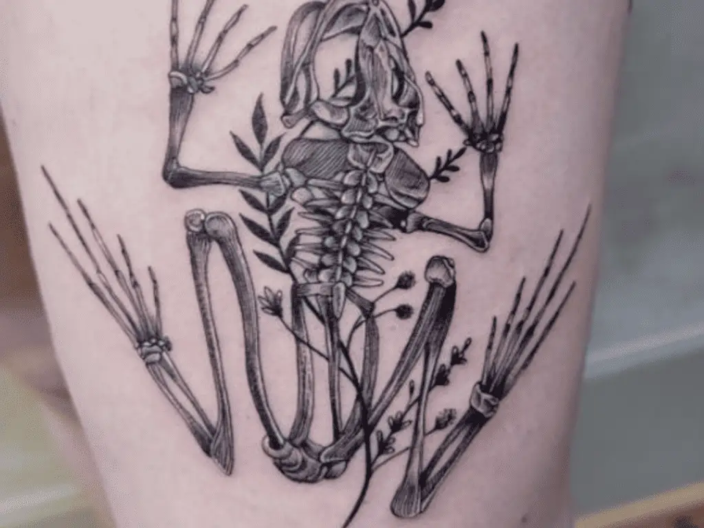 Frog Skeleton Tattoo Meaning
