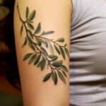 Olive Branch Tattoo Meaning: Symbolism Explained + Designs