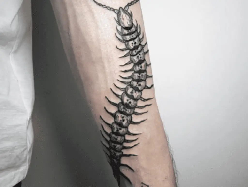 Centipede Tattoo Meaning