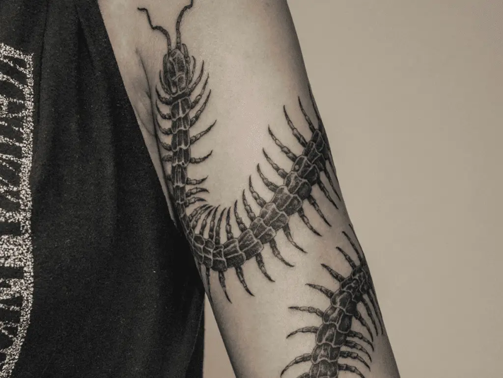 Centipede Tattoo Meaning