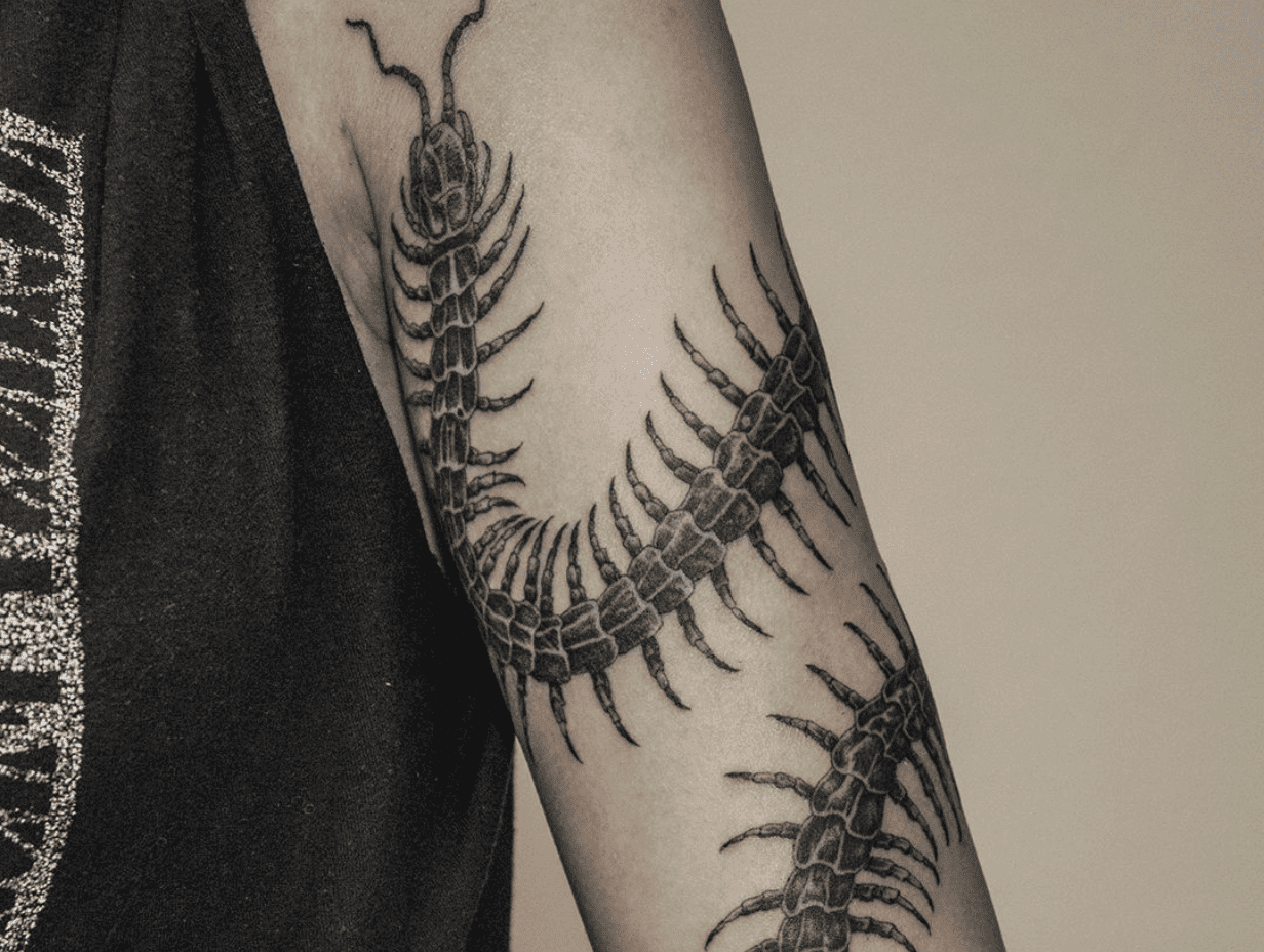Centipede Tattoo Meaning: The Symbolism + Awesome Designs