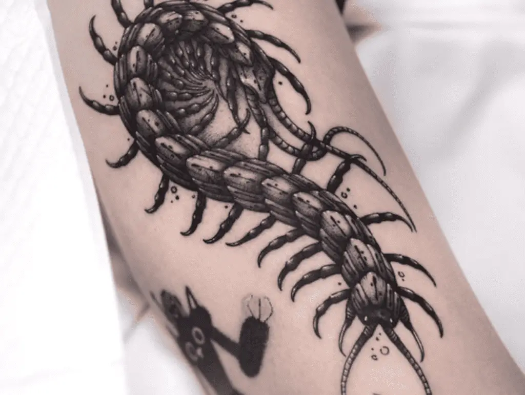 Centipede Tattoo Meaning