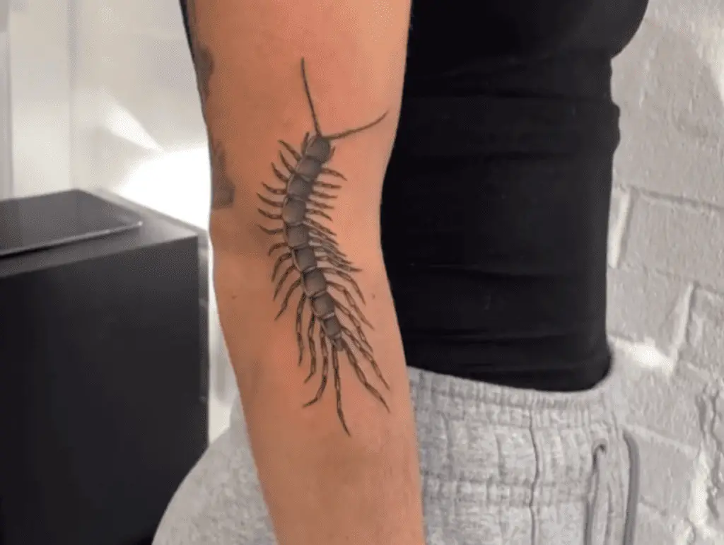 Centipede Tattoo Meaning