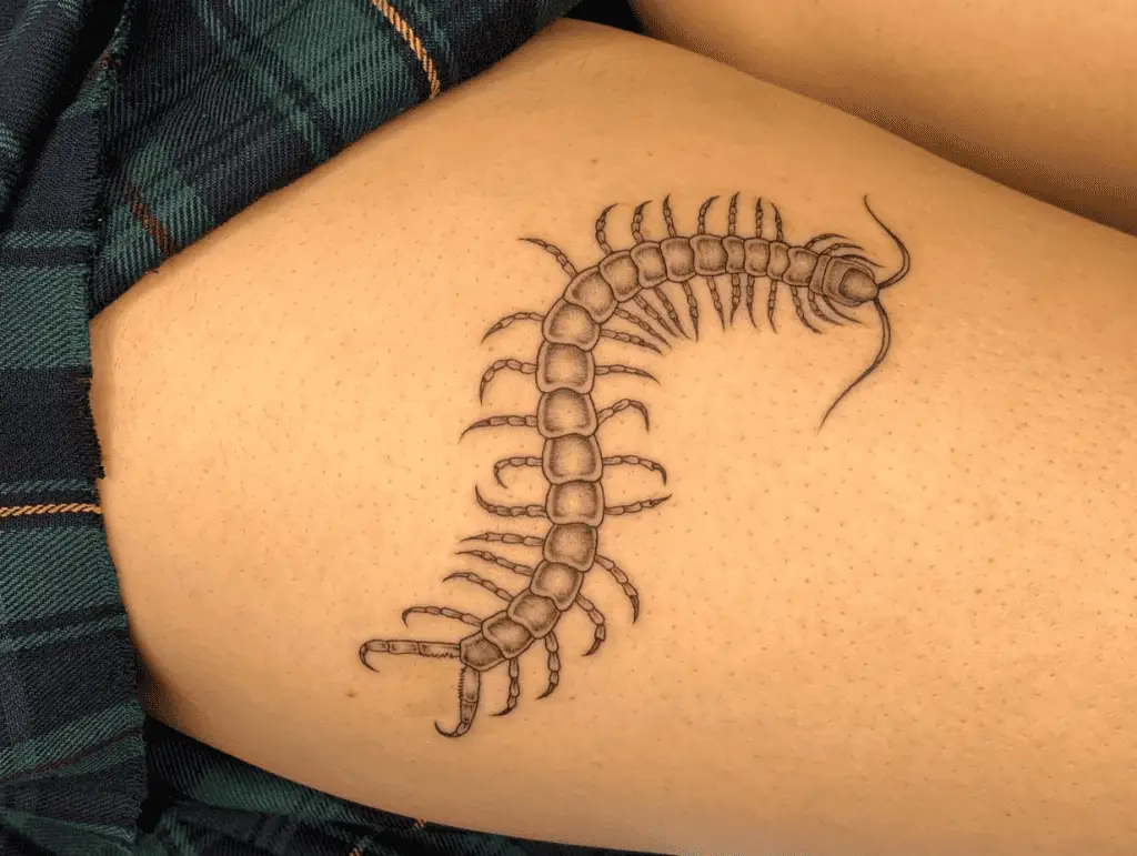 Women Centipede Tattoo Meaning