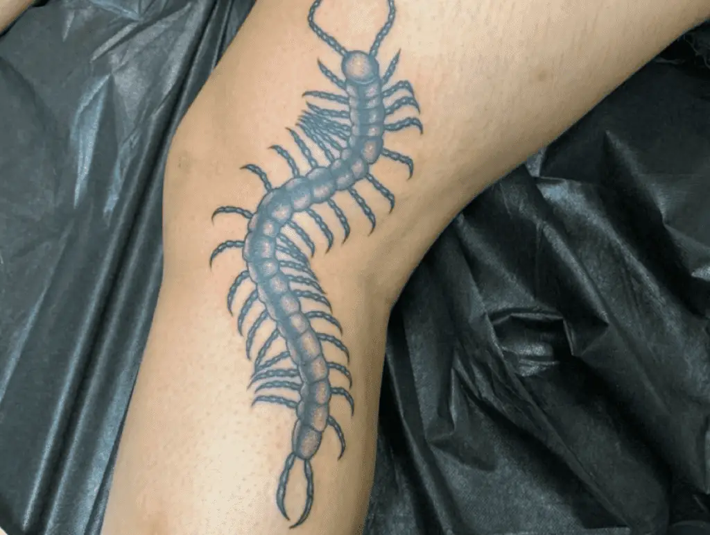 Leg Centipede Tattoo Meaning