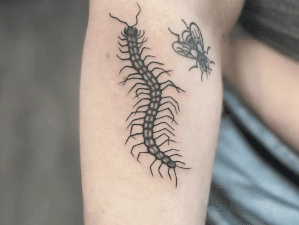 Centipede Tattoo Meaning The Symbolism + Awesome Designs