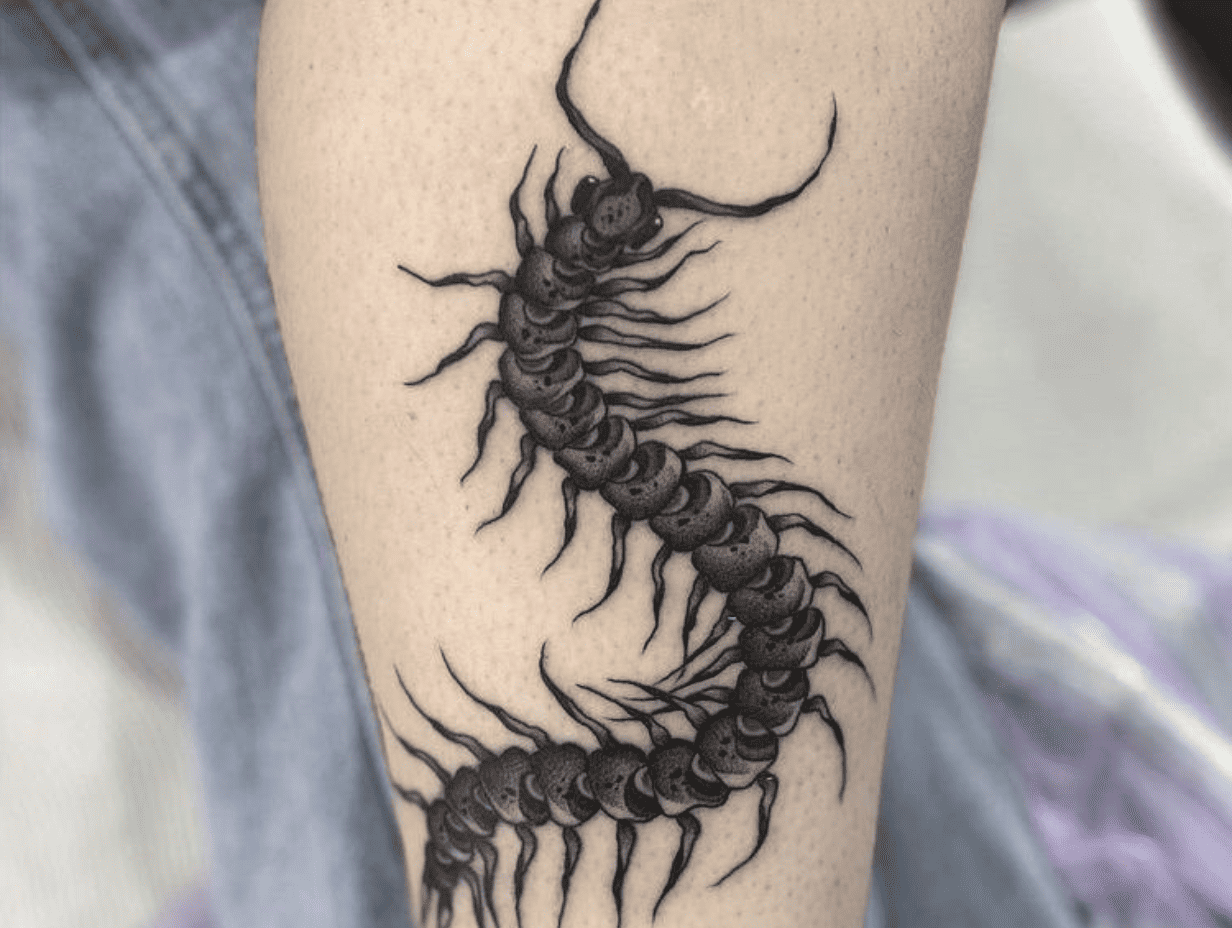 Centipede Tattoo Meaning: The Symbolism + Awesome Designs