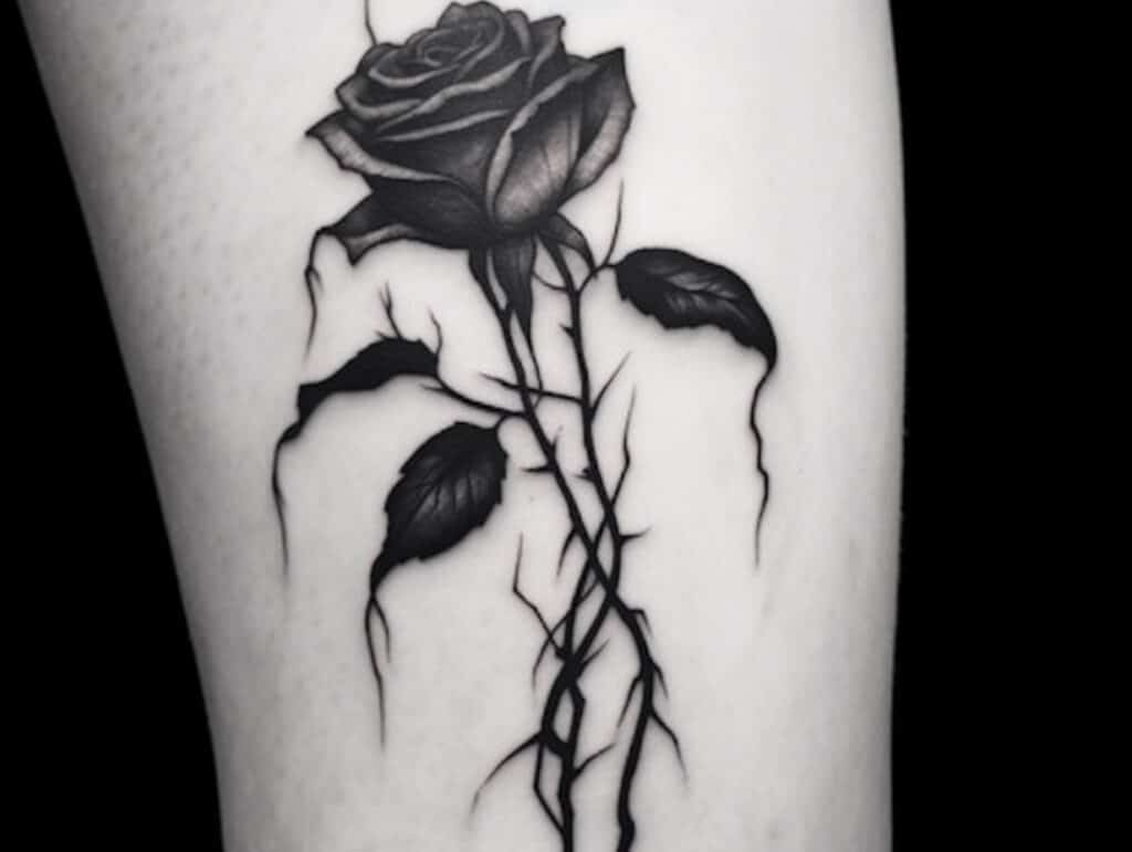 Dead Rose Tattoo Meaning