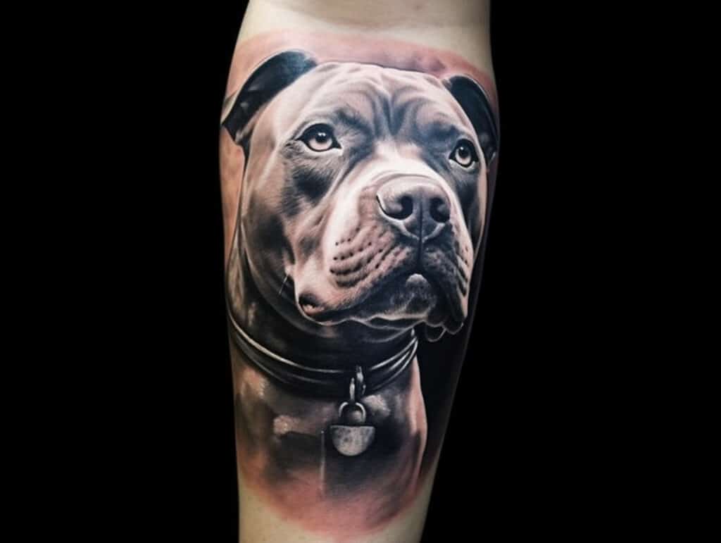 Pitbull Tattoo Meaning