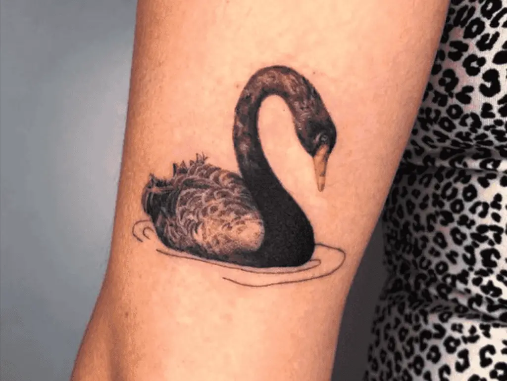 swan tattoo meaning